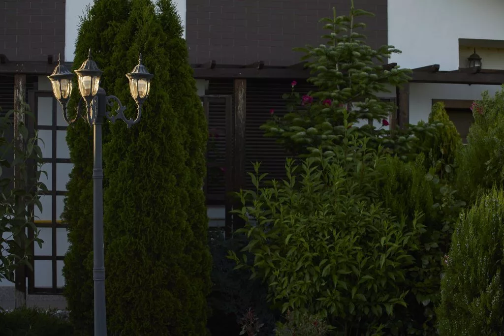 Felinare și gard viu în fața unei case din ARIA Residences
